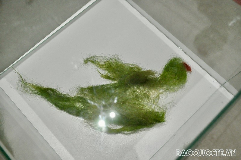 Triển lãm nghệ thuật đương đại 'Maya' kỷ niệm 50 năm thiết lập quan hệ ngoại giao Việt Nam-Pakistan