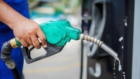 Giá dầu tăng mạnh 850 đồng/lít, vượt giá xăng