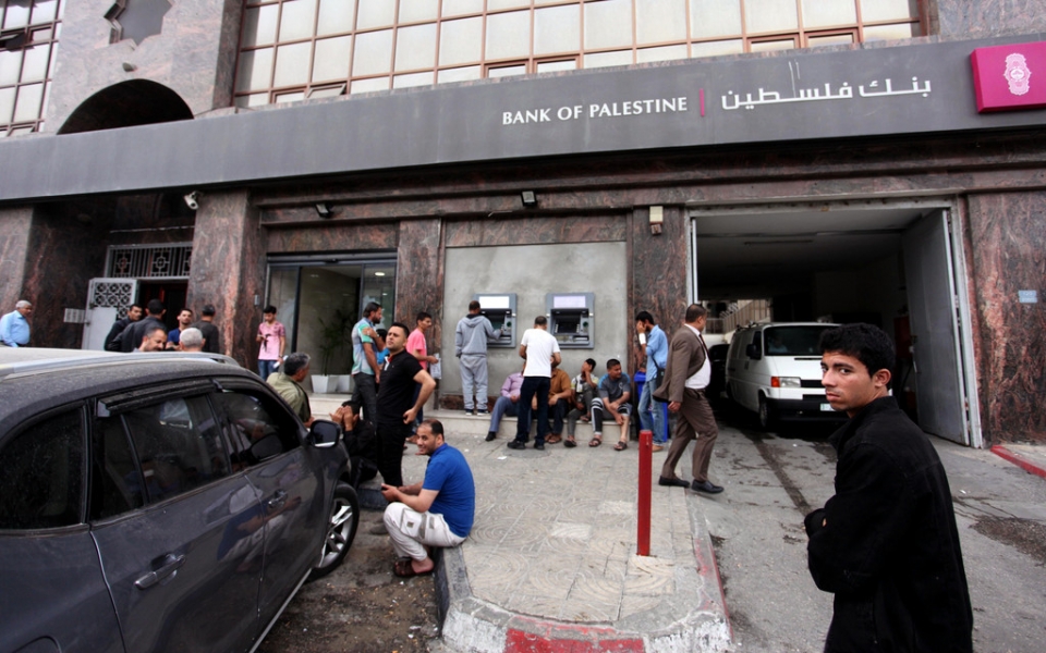 my cat vien tro cho palestine