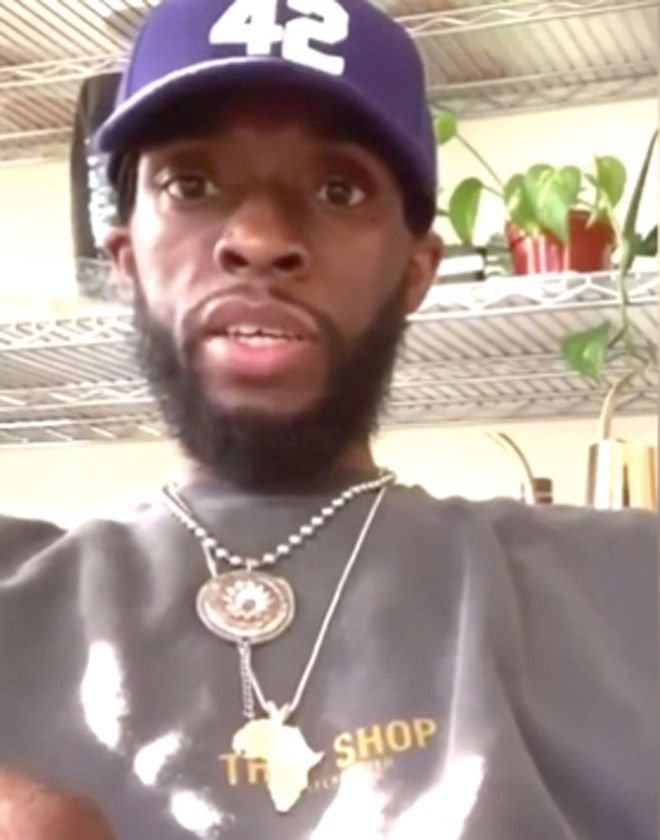 4121-black-panther1-hfou