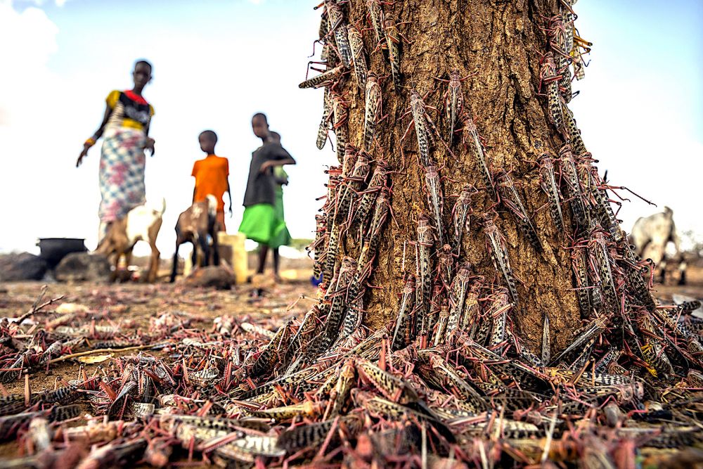 4252-fa9a147025e7f45b51bc4ac0eaf7d495