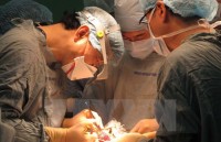 nhat ban uu the dan truoc cua thu tuong sabe tam thu hep