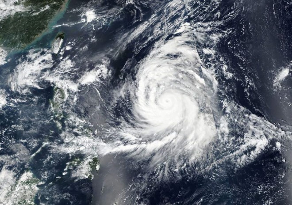 hang tram chuyen bay tai han quoc phai huy do bao kong rey