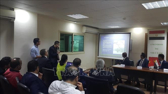 viet nam va ai cap thuc day hop tac kinh te dau tu