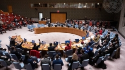 Hội đồng Bảo an thông qua các nghị quyết gia hạn Phái bộ LHQ tại Tây Sahara và Colombia, bảo vệ giáo dục trong xung đột