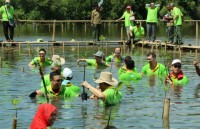 bao ve moi truong 33 cong ty ca cao hang dau the gioi bat tay giam nan pha rung