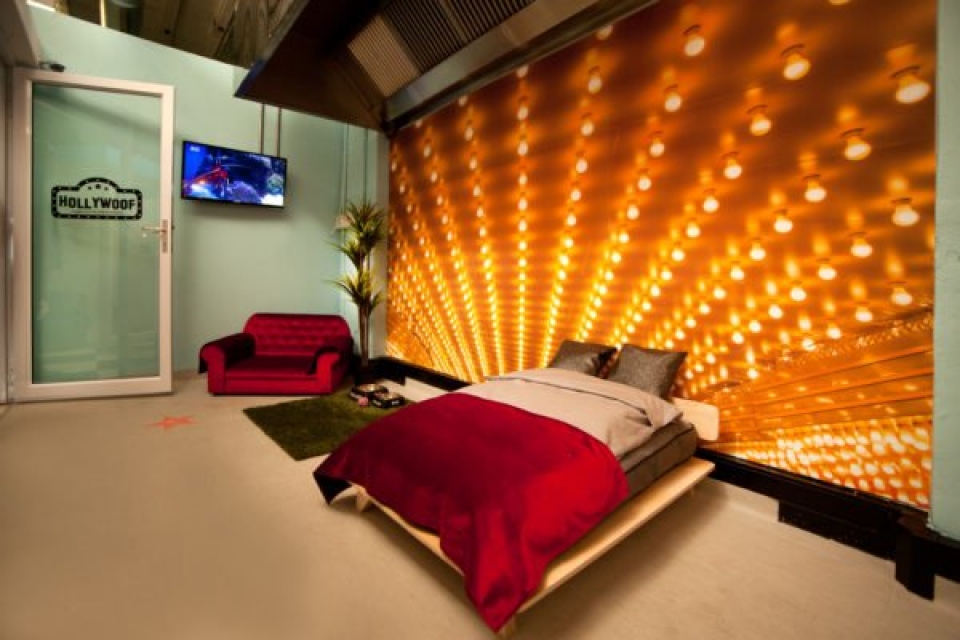 khach san thu cung lon nhat the gioi chay phong toi thang 12019