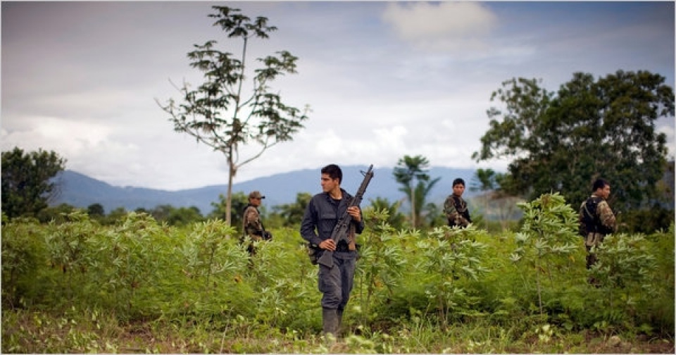 gian nan cuoc chien chong ma tuy tai peru