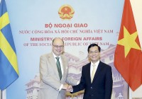 Việt Nam mong muốn Thụy Điển tăng cường chia sẻ kinh nghiệm trong nhiều lĩnh vực