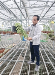 Nghệ nhân Minh Xa: Chàng kỹ sư xây dựng nuôi đam mê hoa lan