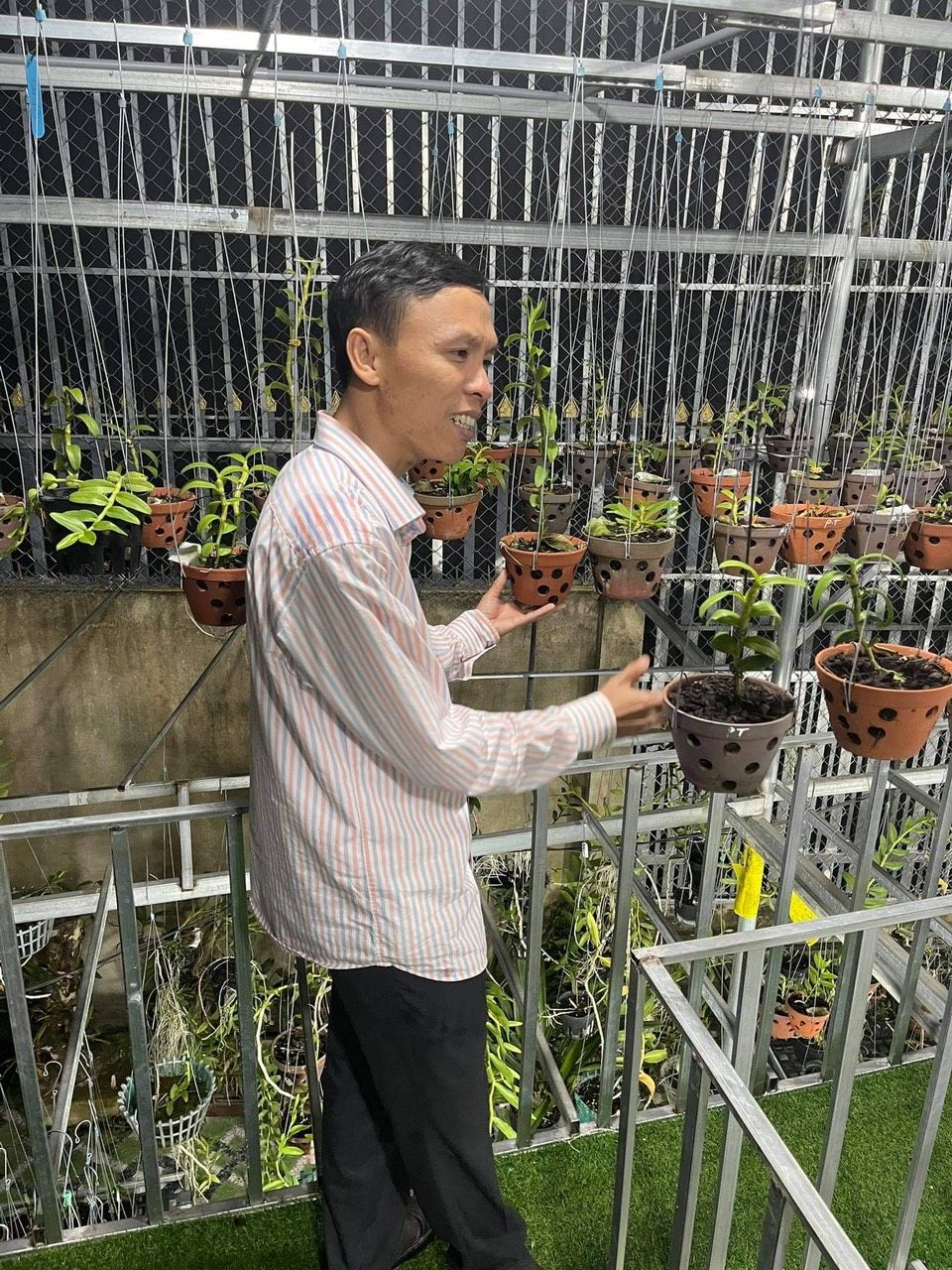 Nguyễn Văn Hiệp: đam mê cùng loài hoa ‘bất tử’ Nguyễn Văn Hiệp: đam mê cùng loài hoa ‘bất tử’