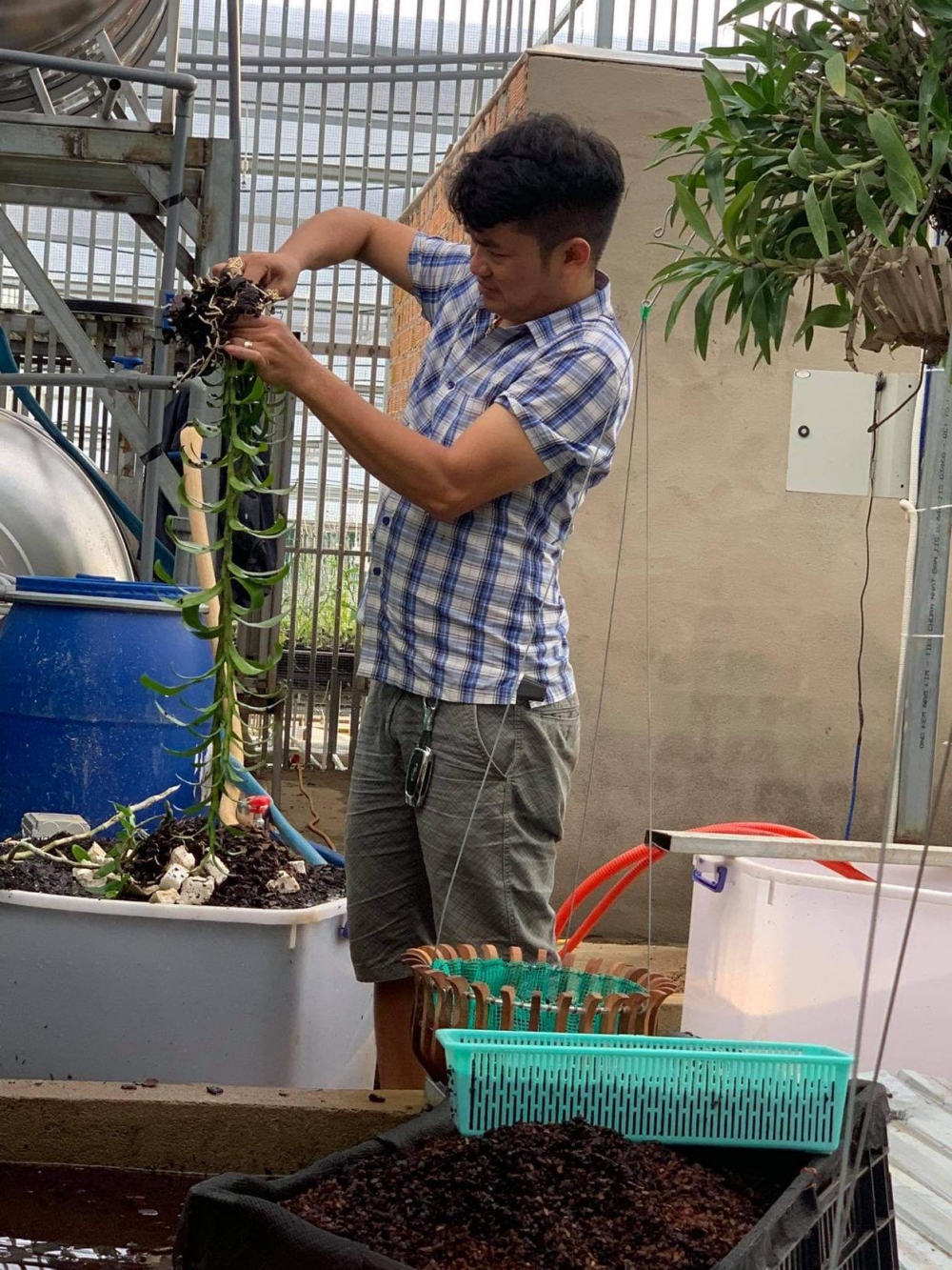 Đàm Rồng Nghệ: 8X bỏ kinh doanh, theo đuổi trồng hoa lan Đàm Rồng Nghệ: 8X bỏ kinh doanh, theo đuổi trồng hoa lan