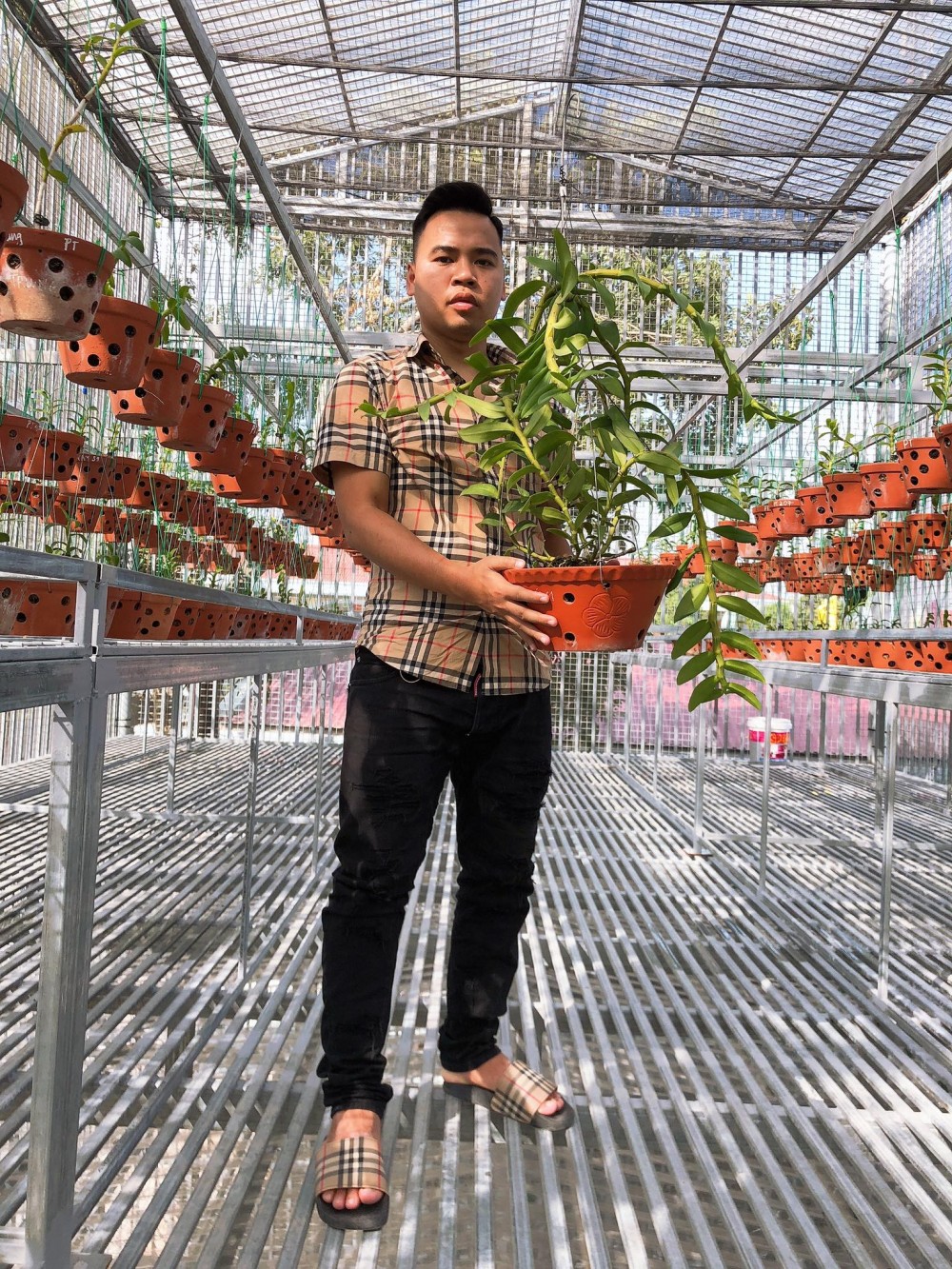 Nam Marboro và niềm vui tao nhã với hoa lan rừng