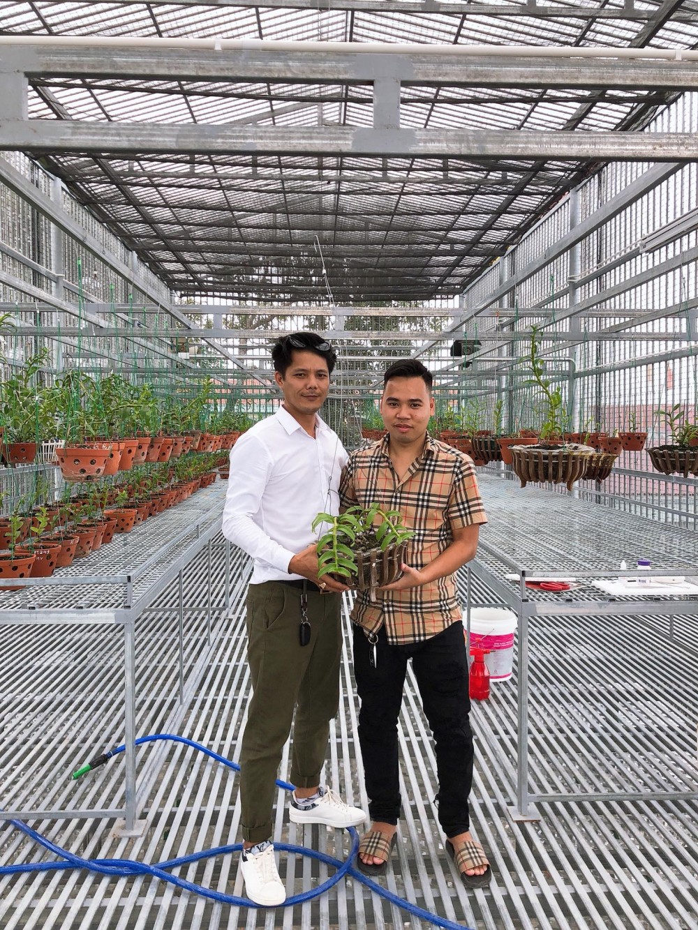 Nam Marboro và niềm vui tao nhã với hoa lan rừng