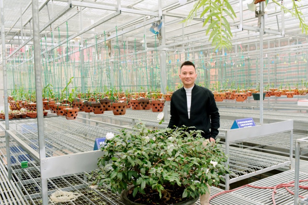 Công Hậu và chuyện tình với mộc hương