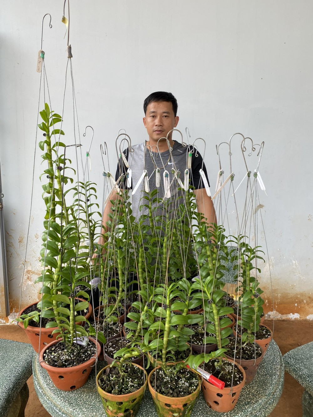 Phạm Thăng Bằng: Thầy giáo phố núi đam mê cháy bỏng với lan rừng