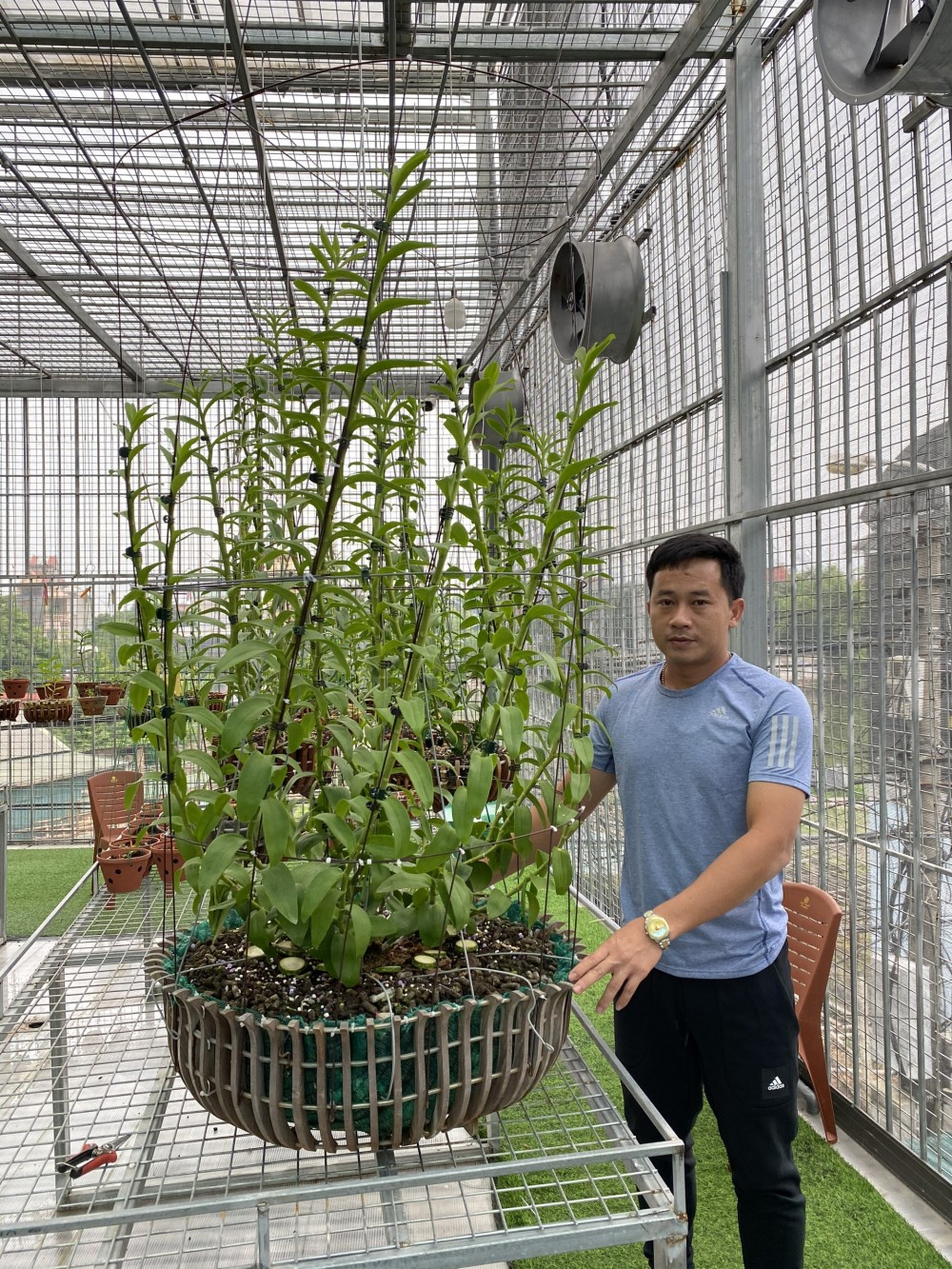 Phạm Thăng Bằng: Thầy giáo phố núi đam mê cháy bỏng với lan rừng