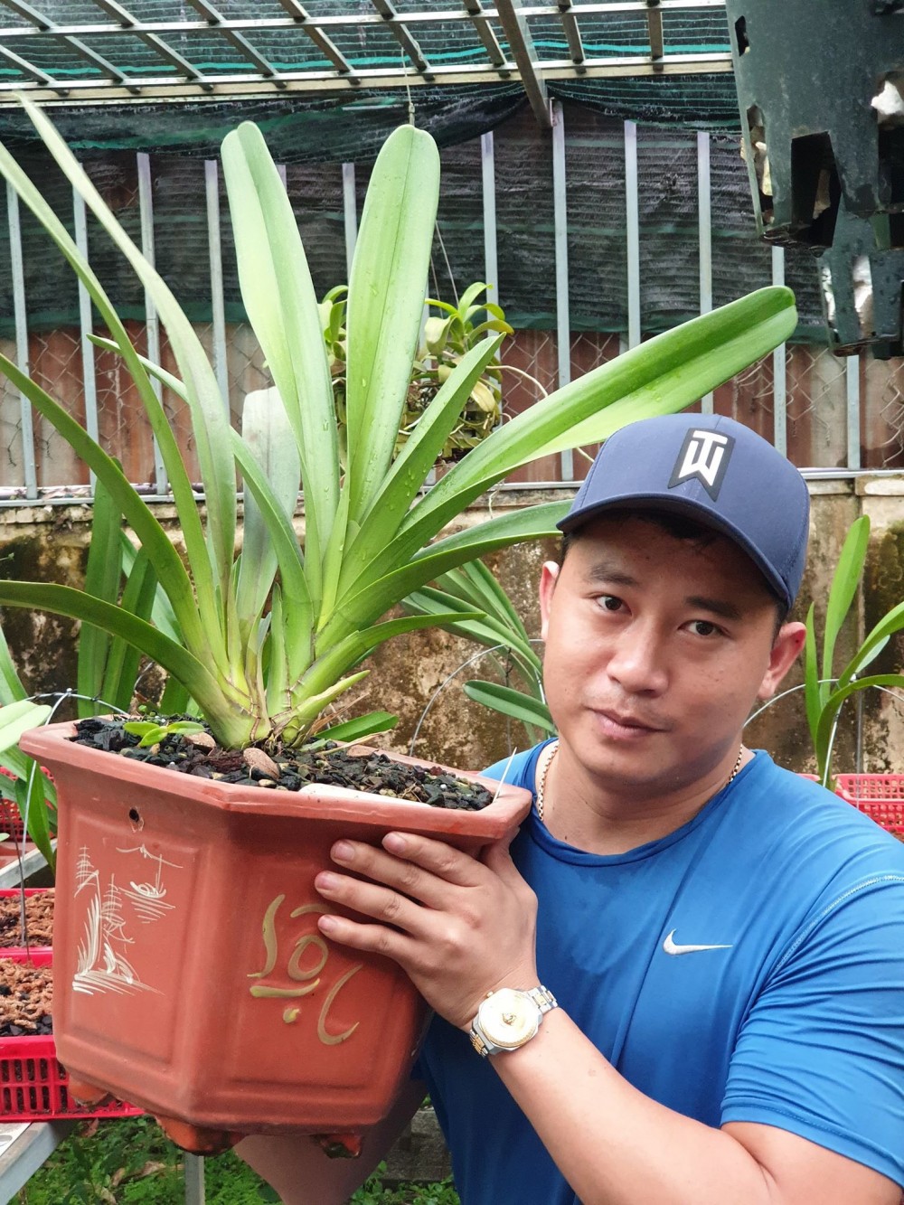 Phạm Thăng Bằng: Thầy giáo phố núi đam mê cháy bỏng với lan rừng