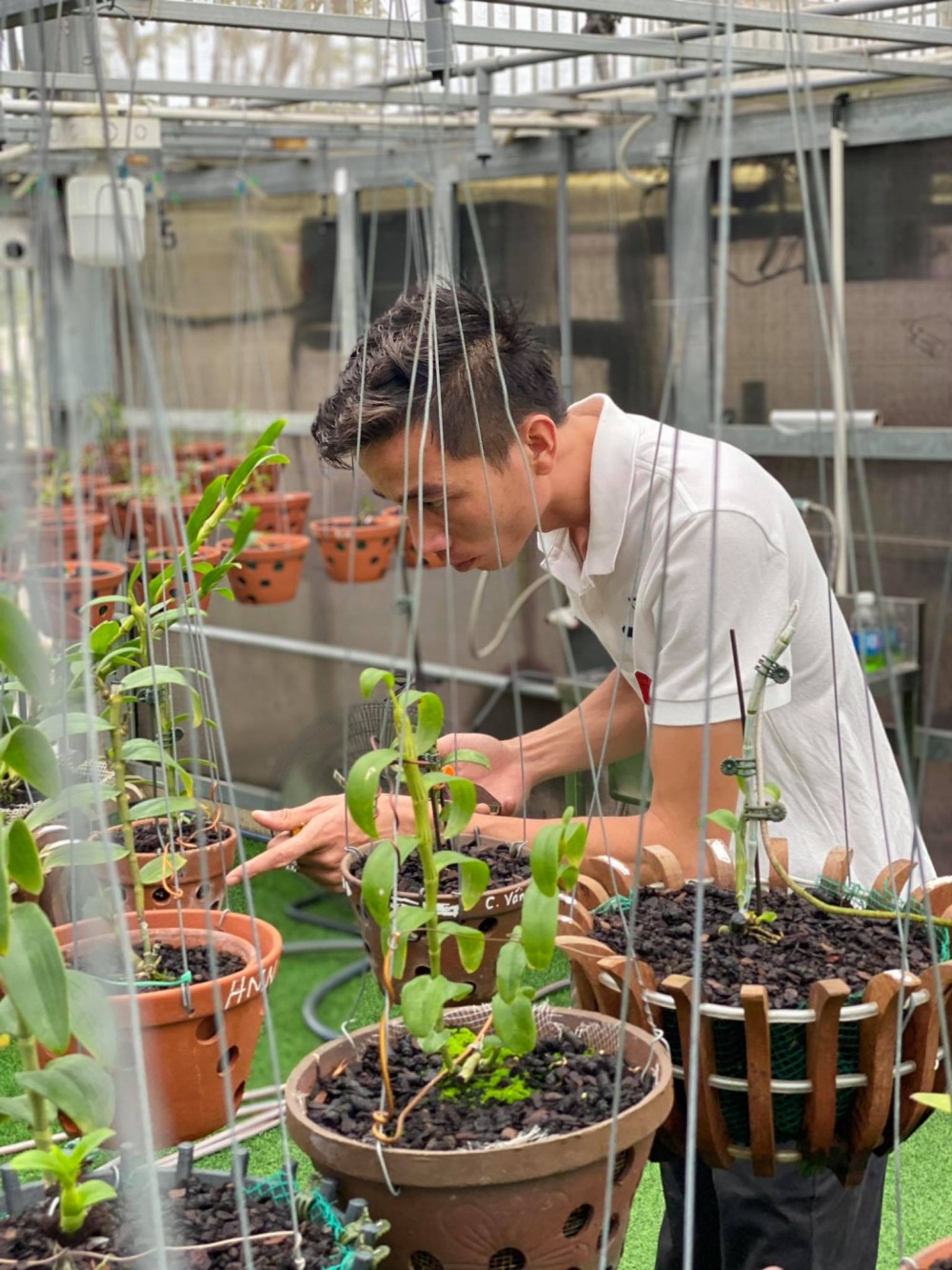 Chàng trai trẻ Lê Bảo Trân: 'Đam mê hoa lan đã ăn sâu vào máu tôi'