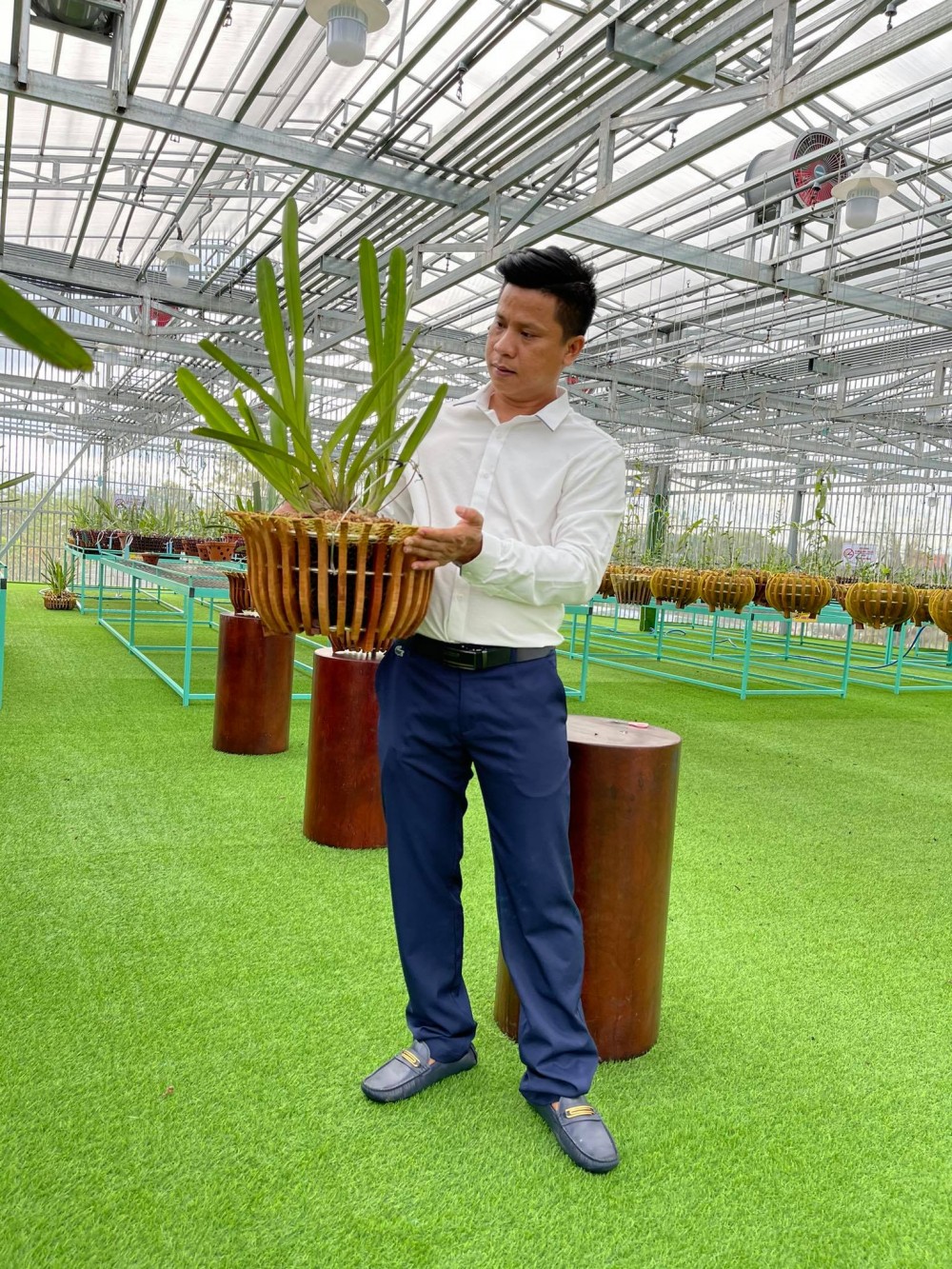 Nguyễn Diên Trung lên tiếng về giá trị thật của dòng lan đột biến