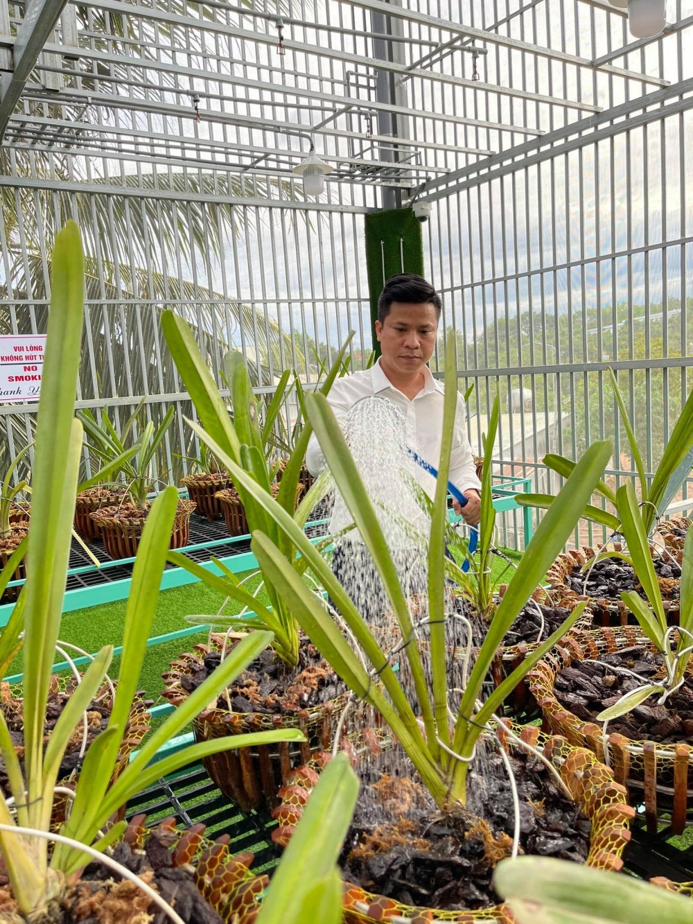 Nguyễn Diên Trung lên tiếng về giá trị thật của dòng lan đột biến