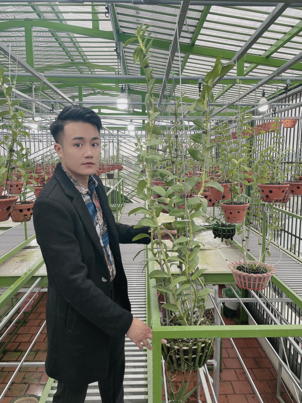 Từng nghĩ đến với hoa lan chỉ là để thứ sức, giờ anh chuyển hẳn sang sưu tầm và kinh doanh lan, đặc biệt là lan đột biến.