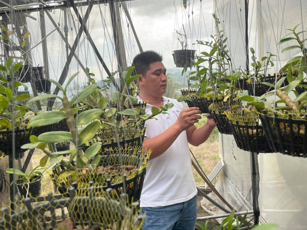 Lê Văn Nam: Chủ nhân trẻ của vườn lan khủng