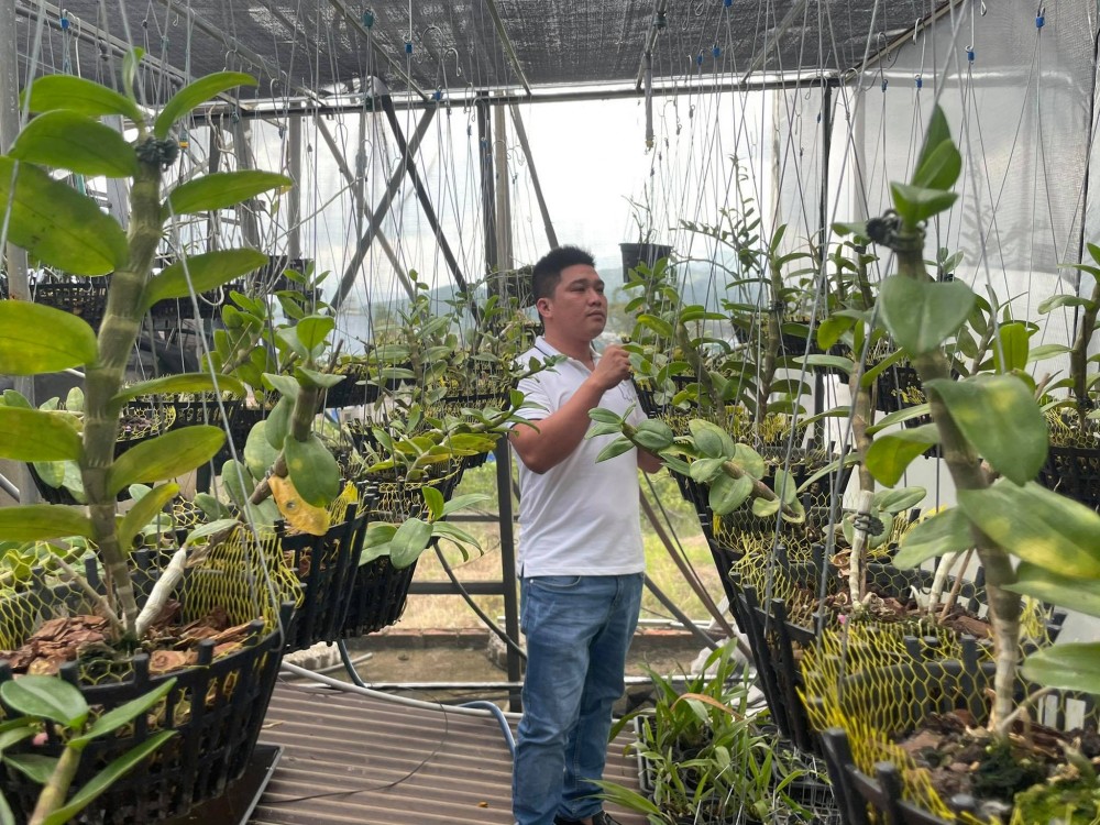 Lê Văn Nam: Chủ nhân trẻ của vườn lan khủng