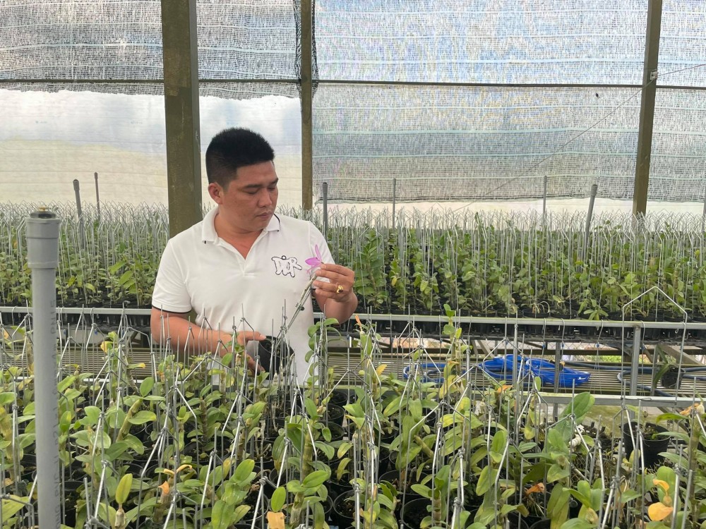 Lê Văn Nam: Chủ nhân trẻ của vườn lan khủng