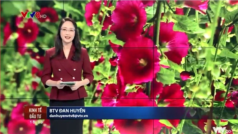 Trưng bày cây cảnh - thú vui tao nhã của người Việt Nam ngày Tết