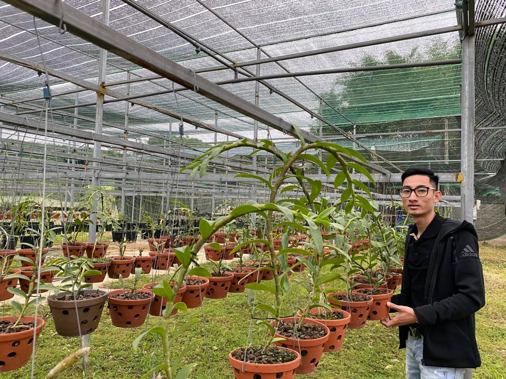 Louis Đức Trung: Lan đột biến khó chăm sóc nên giá thành cao là điều dễ hiểu