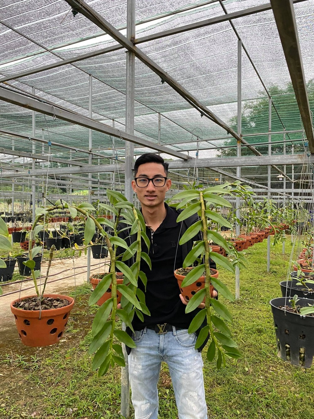 Louis Đức Trung: Lan đột biến khó chăm sóc nên giá thành cao là điều dễ hiểu