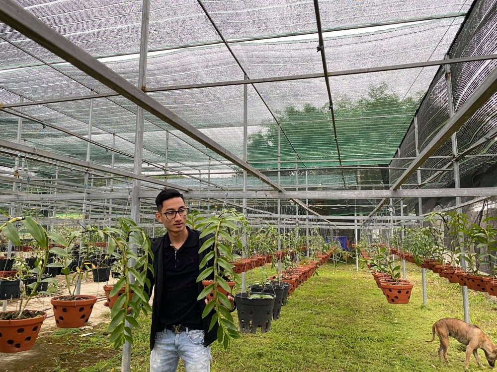 Louis Đức Trung: Lan đột biến khó chăm sóc nên giá thành cao là điều dễ hiểu