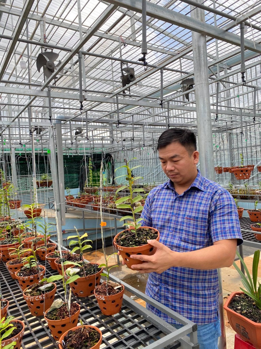 Đô Ban Mê và những lần chi tiền khủng chinh phục lan đột biến