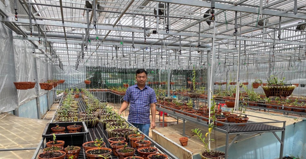 Đô Ban Mê và những lần chi tiền khủng chinh phục lan đột biến