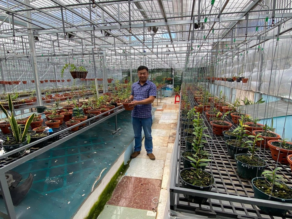 Đô Ban Mê và những lần chi tiền khủng chinh phục lan đột biến