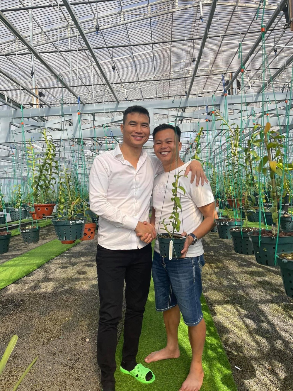 Ông chủ vườn lan Long Bảo: Từ khó khăn đi đến thành công