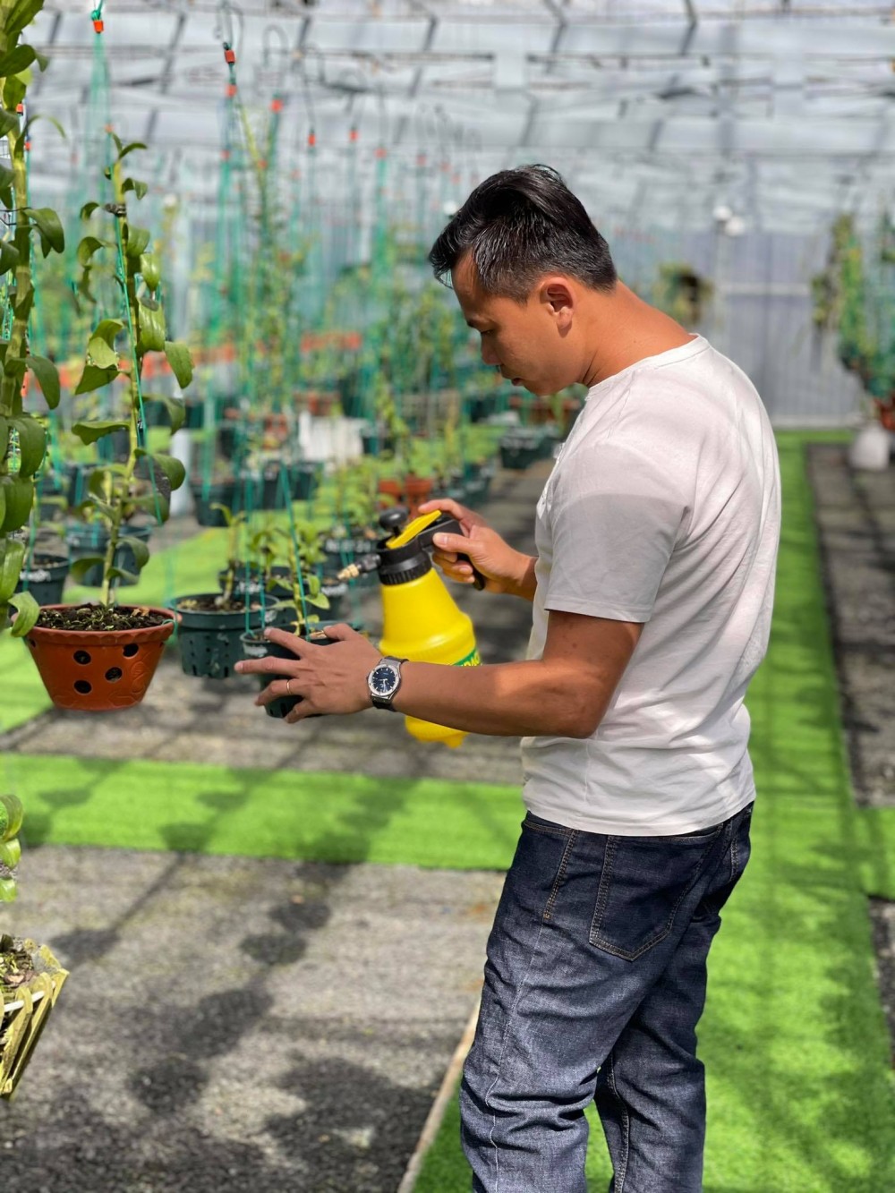 Ông chủ vườn lan Long Bảo: Từ khó khăn đi đến thành công