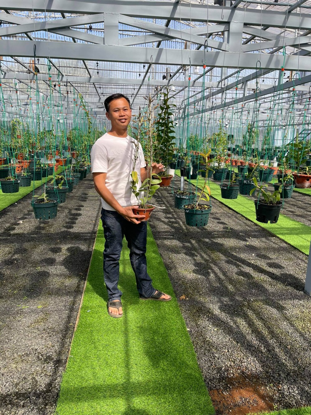 Ông chủ vườn lan Long Bảo: Từ khó khăn đi đến thành công