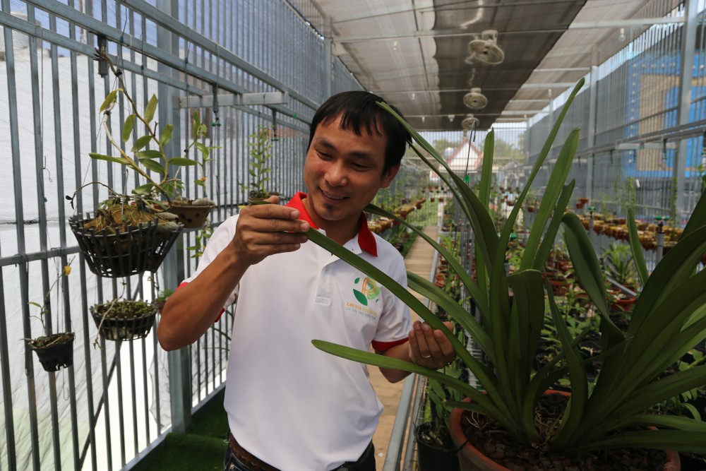 Thiệt hại tiền tỷ nhưng ông chủ vườn lan 8X Vũ Neo không lùi bước