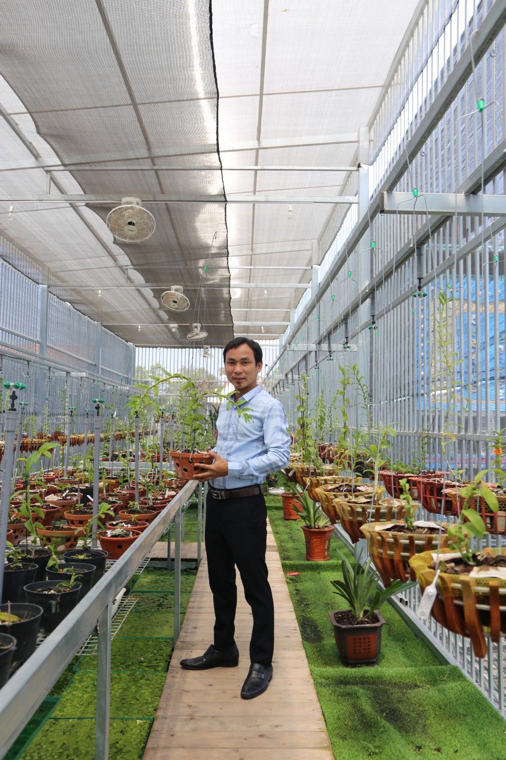 Thiệt hại tiền tỷ nhưng ông chủ vườn lan 8X Vũ Neo không lùi bước