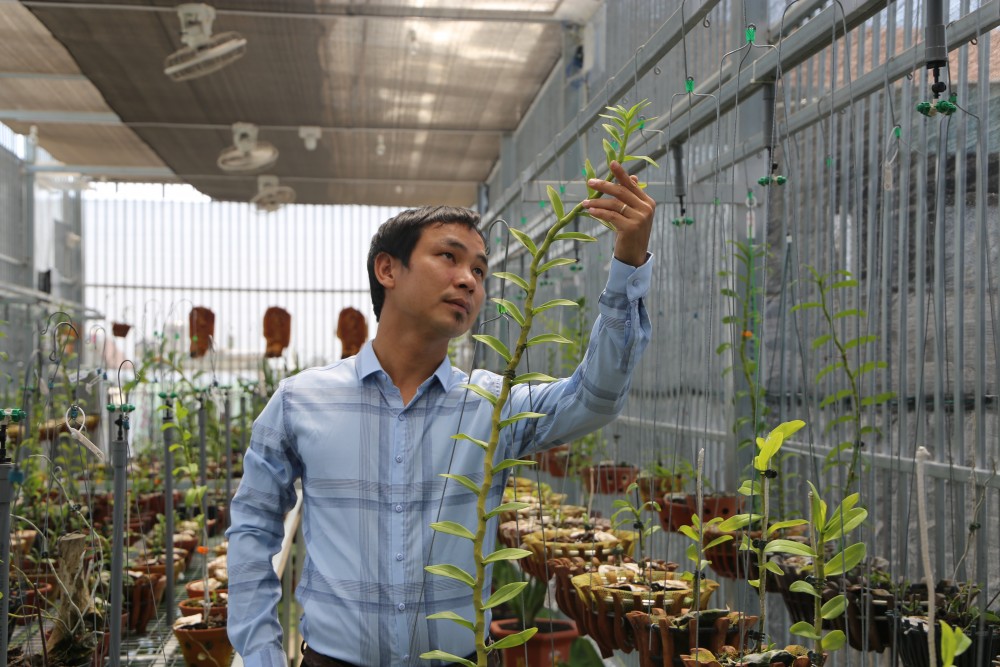 Thiệt hại tiền tỷ nhưng ông chủ vườn lan 8X Vũ Neo không lùi bước