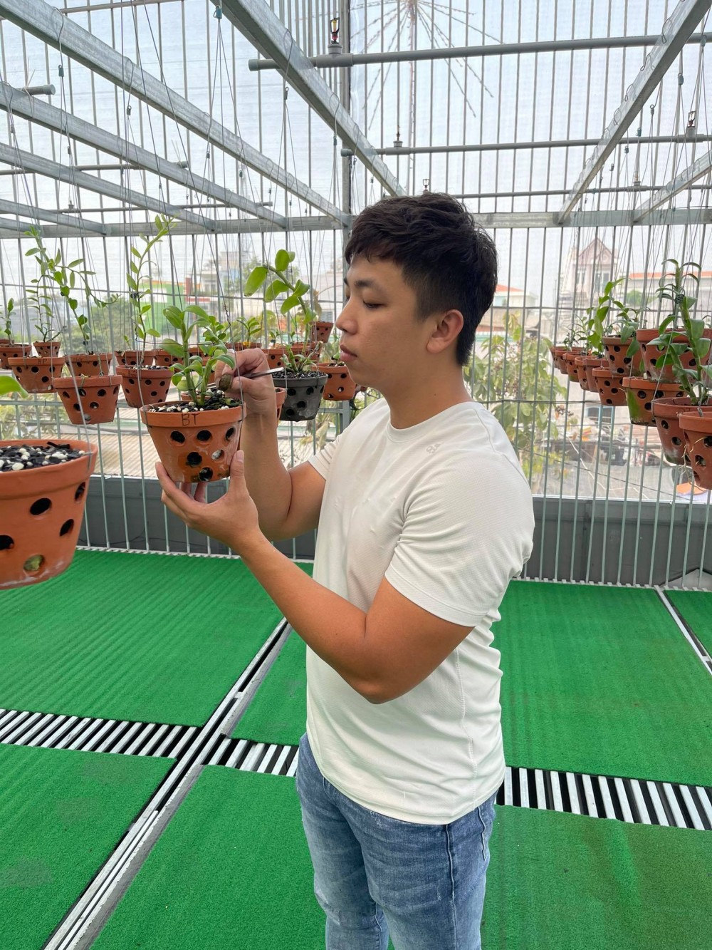 Huỳnh Vũ: Từ chàng trai trông xe đến ông chủ vườn lan giá trị Huỳnh Vũ: Từ chàng trai trông xe đến ông chủ vườn lan giá trị