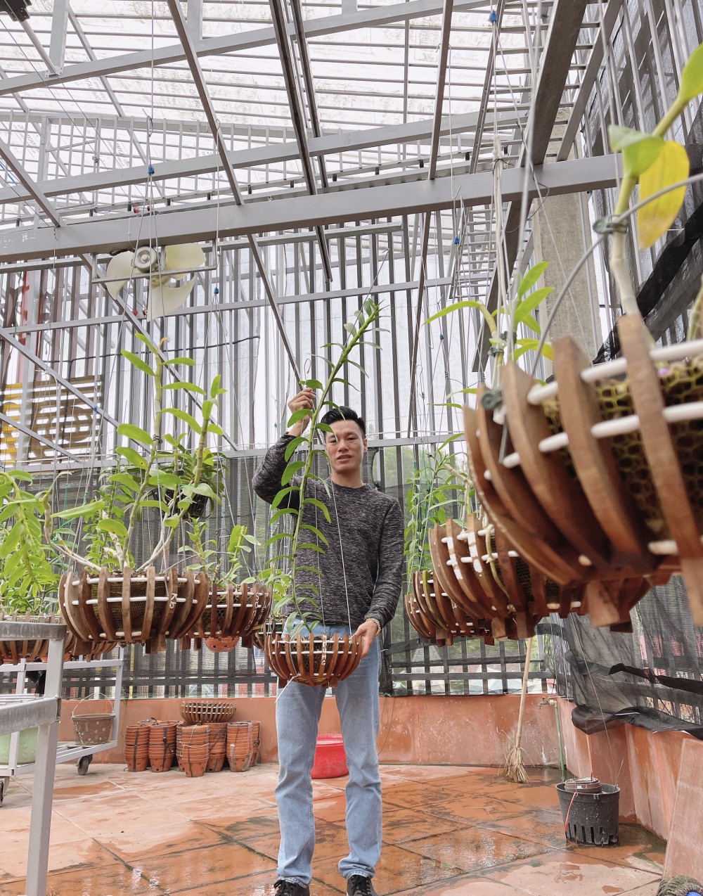 Thầy giáo Vũ Hoàng Giang và vườn lan giá trị được nhiều người ngưỡng mộ