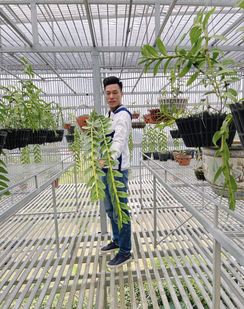 Thầy giáo Vũ Hoàng Giang và vườn lan giá trị được nhiều người ngưỡng mộ