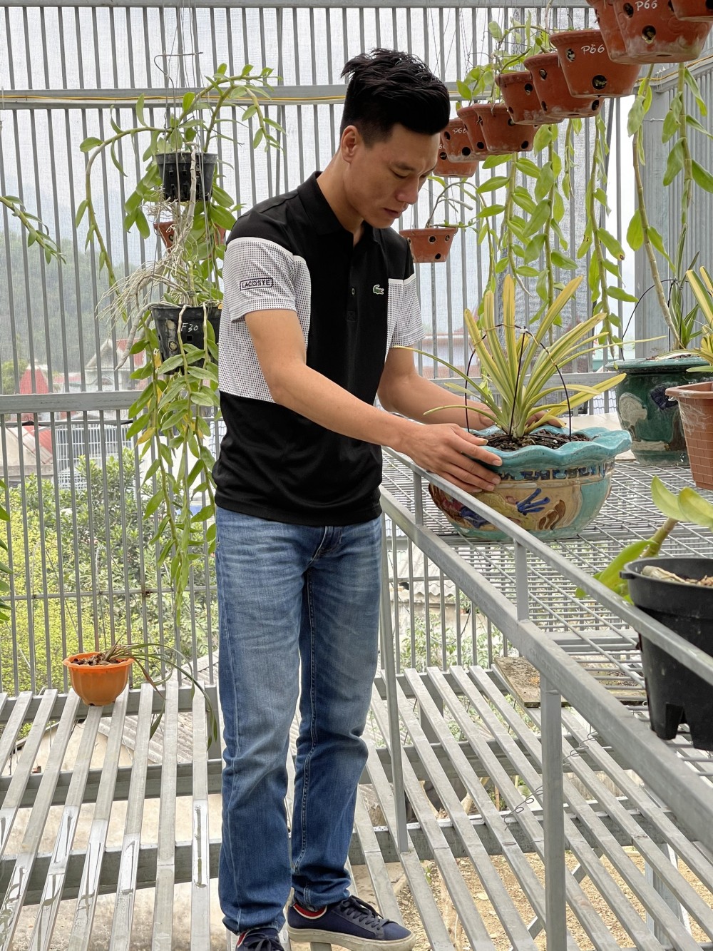 Thầy giáo Vũ Hoàng Giang và vườn lan giá trị được nhiều người ngưỡng mộ