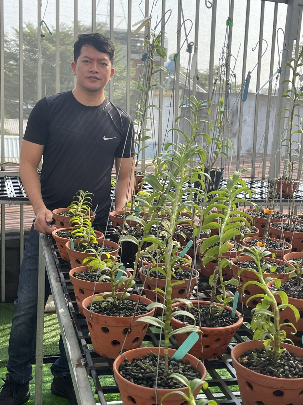 Doãn Chinh và niềm đam mê với hoa phong lan Doãn Chinh và niềm đam mê với hoa phong lan