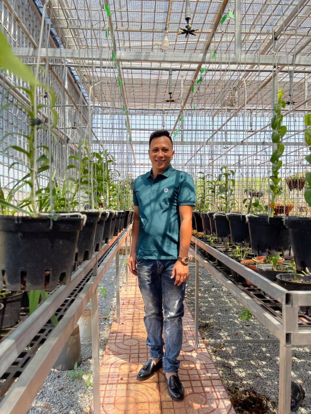 Ông chủ vườn lan Hạo Hạo: Người chơi lan cần có những nét riêng cá nhân