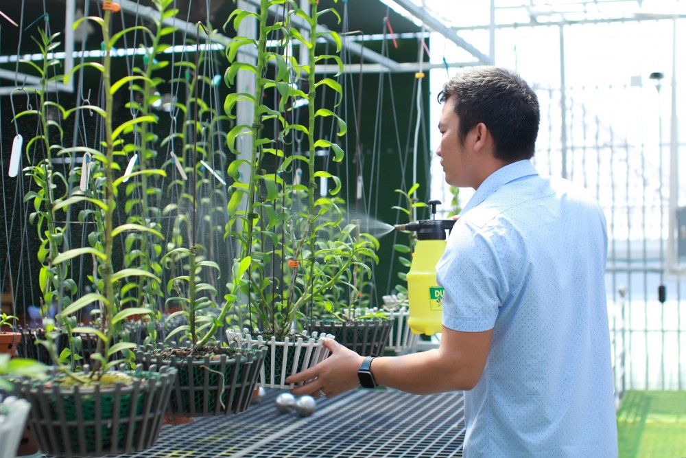 Nghệ nhân Dần Ngô và khát vọng vươn lên từ đam mê hoa lan Nghệ nhân Dần Ngô và khát vọng vươn lên từ đam mê hoa lan