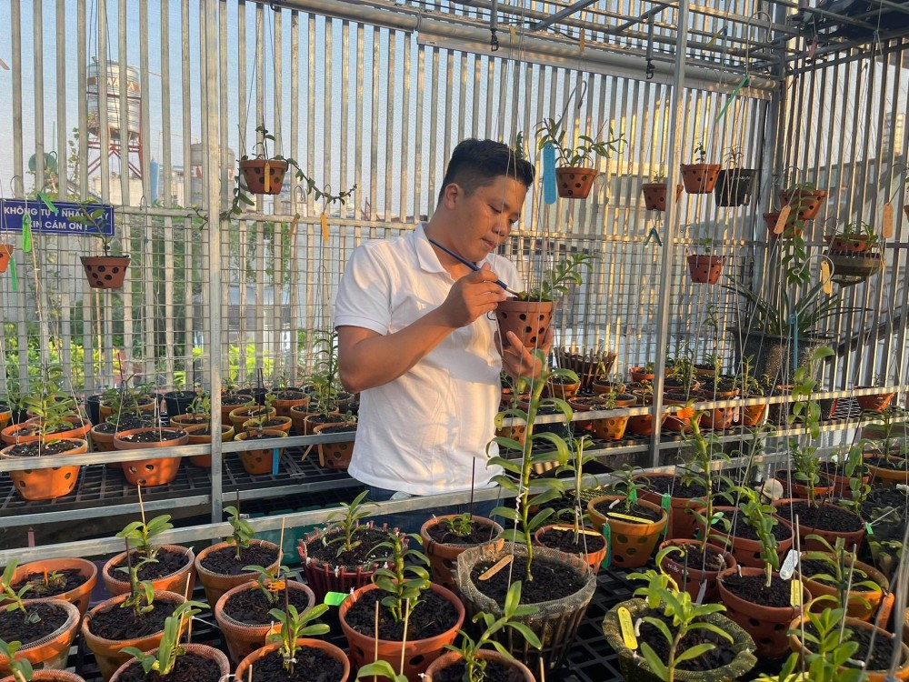 Diệp Minh Tuyền: Đến với hoa lan rất tình cờ nhưng lại là đam mê lớn